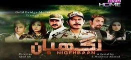 Nigebhan Episode 13 Full 21 March 2015 Ptv Home Drama