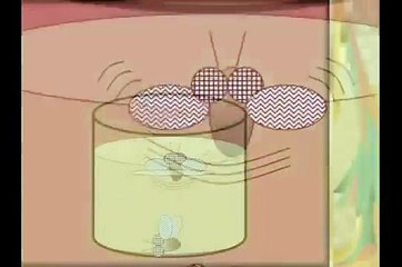 A Mosca   A Necessidade de Mudar   Motivação   wwwheltonangelomp4