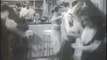 Reefer Madness (1936) - Trailer (Drama)