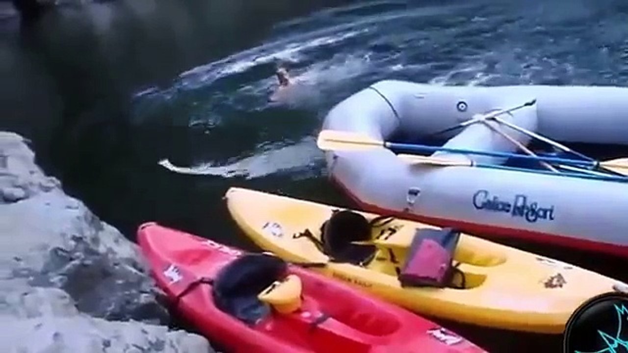 Kaza Videoları, Fail Videoları, Komik Videolar