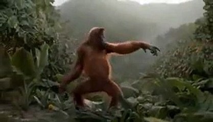 VID-20141208-WA0005.mp4