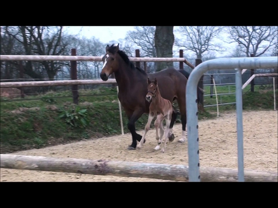 Furyo des Edènes 3 et 4 jours