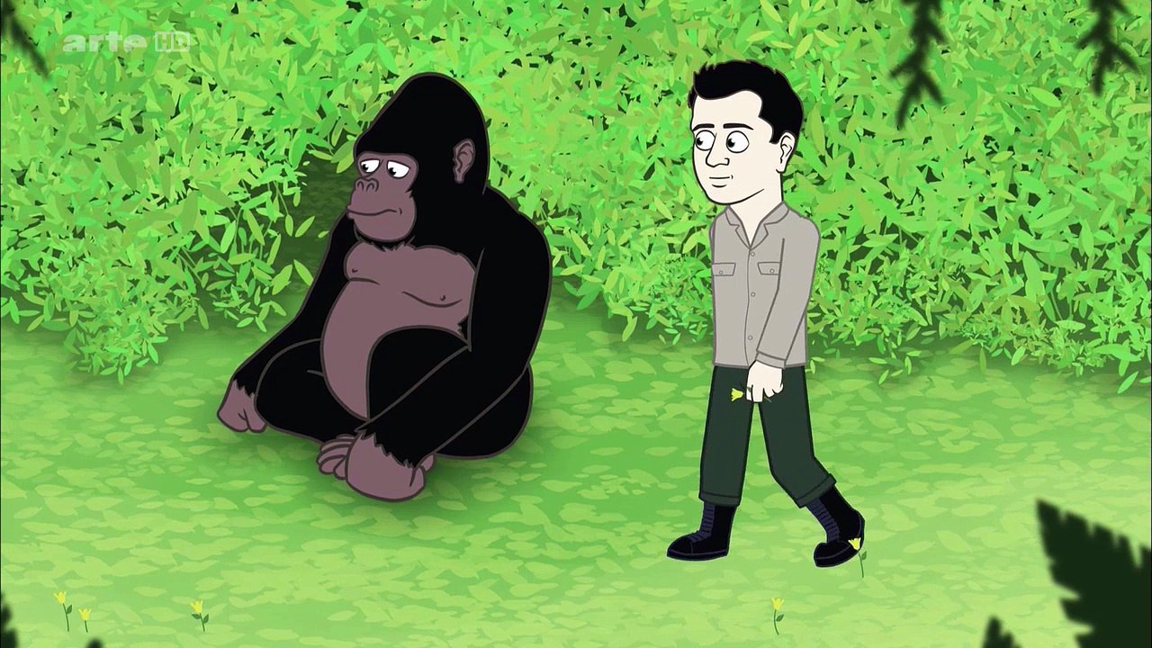 Les guérisseurs de la planète : Les derniers gorilles de montagne