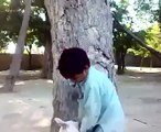 Pakistani WWE Fight... - Adnan Ali Abbas