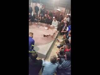 colorao premier prix en championnat en 9 min