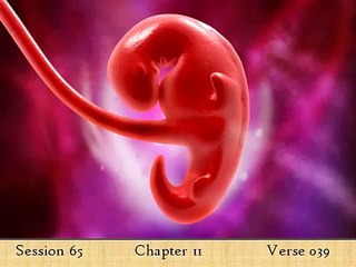 Comprehensive English Explanation of the Quran by Elsharawy - Part 21 📖