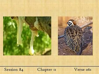 Comprehensive English Explanation of the Quran by Elsharawy - Part 27 📖