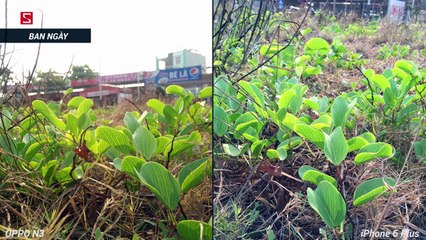 Schannel - iPhone 6 Plus đọ camera với OPPO N3 - Cuộc chiến cân sức !