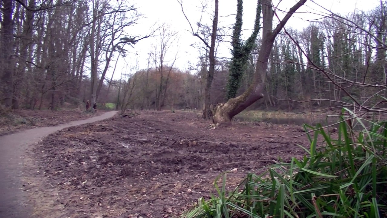 Fairy Dell Improvements making progress. Looking a bit bare