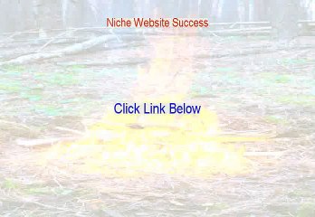 Niche Website Success Reviews - Video Review [2015]