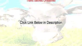 Traffic Secrets Unleashed Reviewed [Hear my Review]