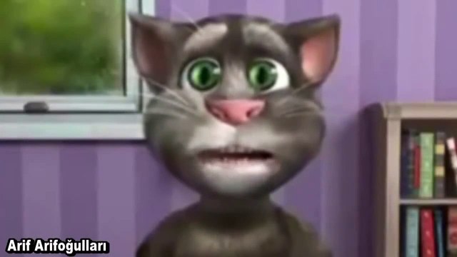 Erzurumlu Dadaş Kedi Tom - Hastaneye Gidersin Sistem Yok Tapuya Gidersin Sistem Yok