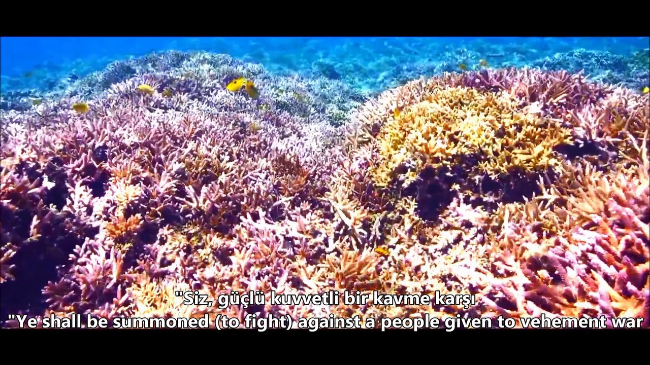 48- Fetih Sûresi / The Victory (Ahmet el Acemi) HD