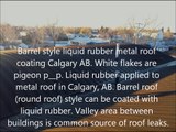Liquid Rubber - Metal Roof Coating - Scope of Work