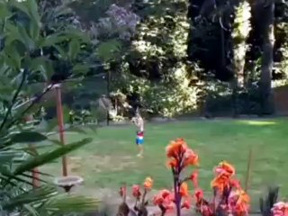 Craziest Pool Basketball Dunk Ever完美無瑕的傳球