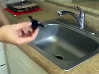Dry Ice add Water 玩乾冰