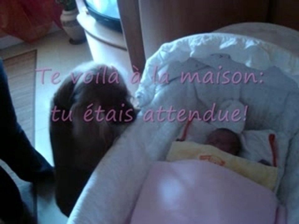 Eline, l'histoire...