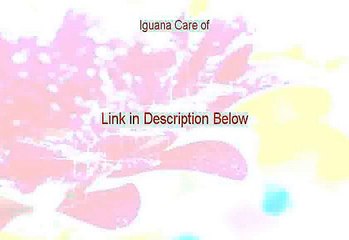 Iguana Care of Free Review [Hear my Review]