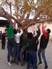 VID-20150119-WA0000.mp4