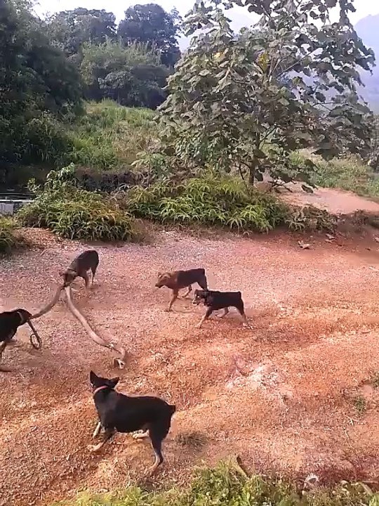 Mavi Kocaeli