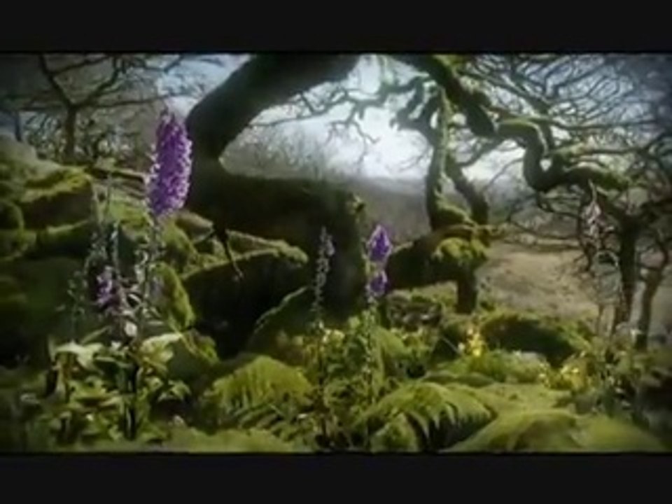 Whorled View-12