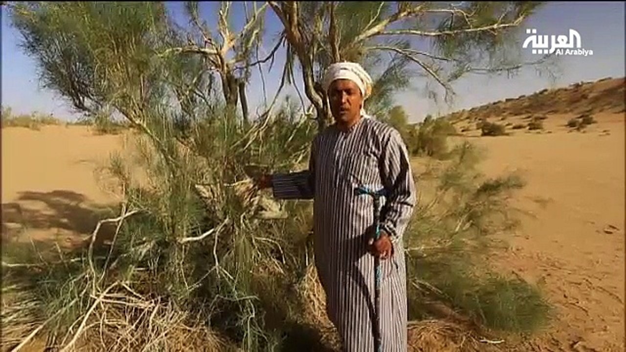 26 مالك بن الريب