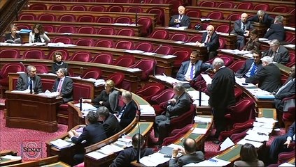 PJL portant nouvelle organisation territoriale de la république. 5 bis