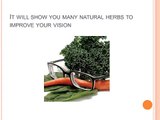 Vision Without Glasses is a revolution eye treatment program which can help all people
