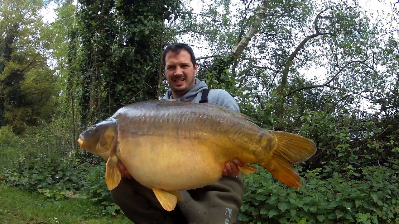 rush carp 35 saison 2014