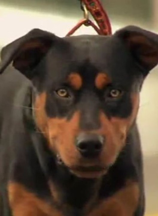 Olay Yaratan Reklam Filmi