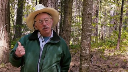 WHY in the World are They Spraying  2