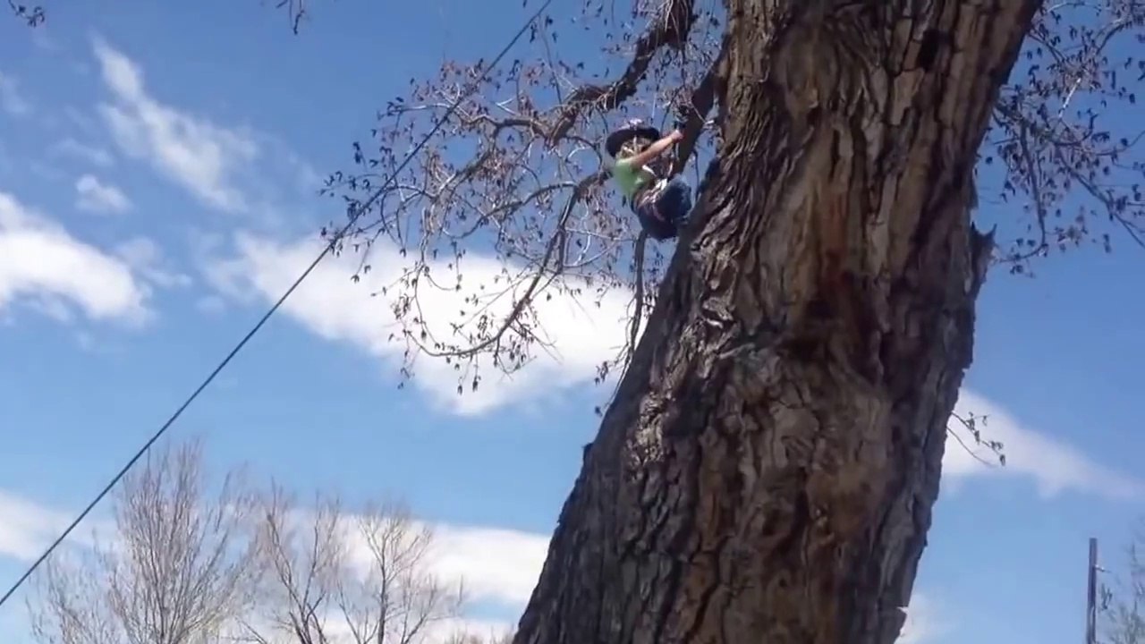 Four Year Old Girl Impressively Climbs Tree