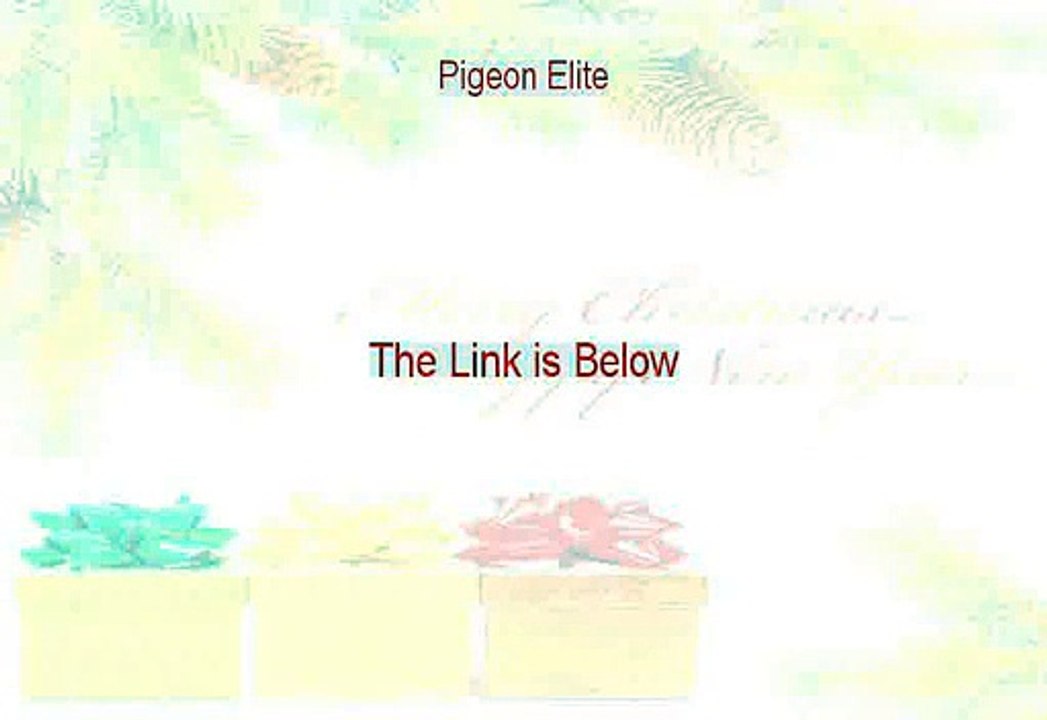 Pigeon Elite Free PDF - elite pigeon feed (2015)