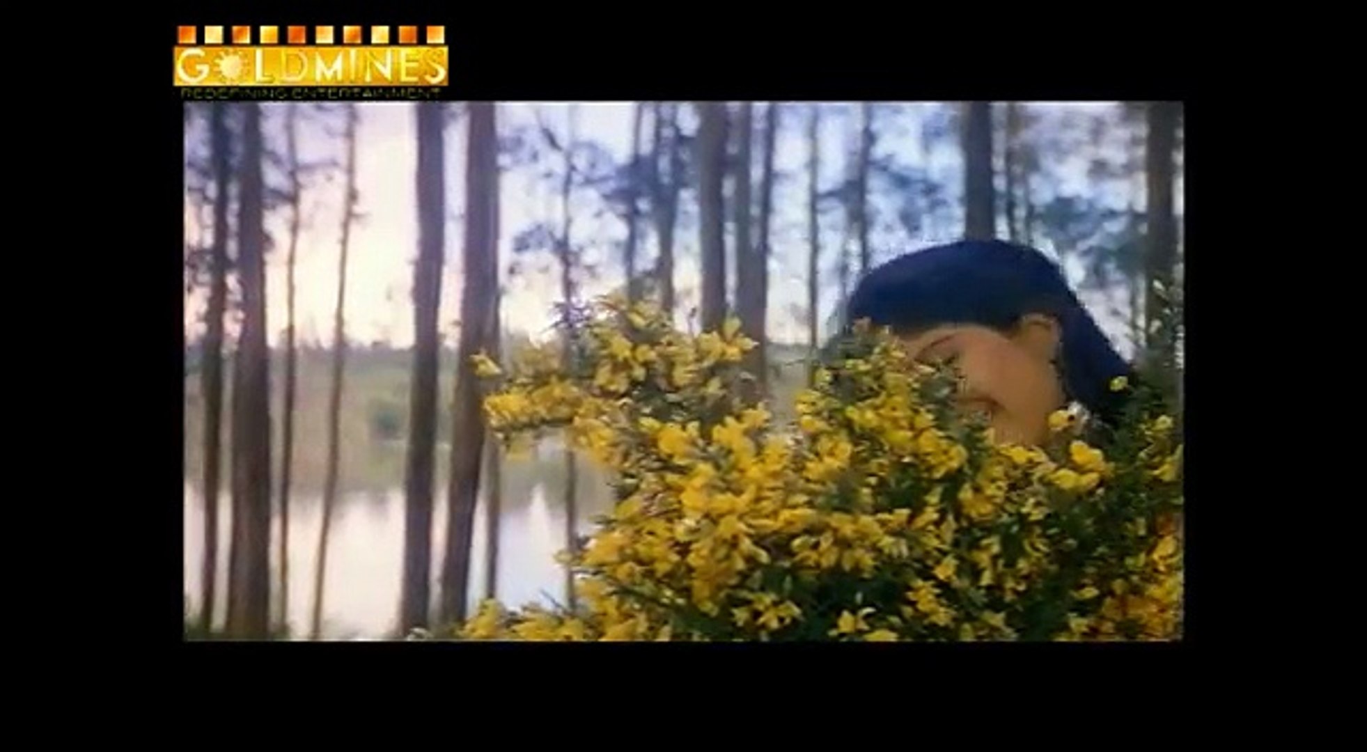 Sangram 1993 Full Movie Ajay Devgan Ayesha Jhulka Karishma