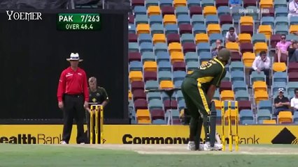 Shane Watson Vs Shahid Afridi - HD video
