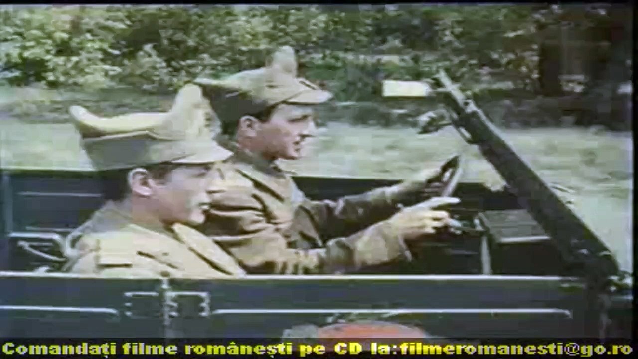 Stejar, extrema urgenta [1973]