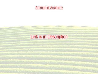 Animated Anatomy Download Free [animated anatomy gifs 2015]