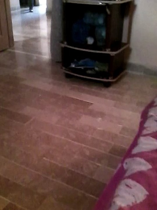 Ubaid house 2