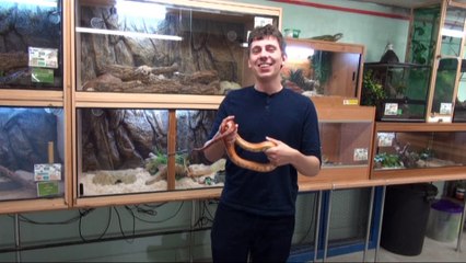 Ryan Clayton - Dartmoor Zoo Outtakes