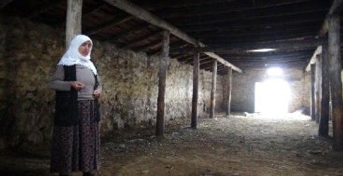 Krediyle Koyun Aldılar, Borç Ödemek İçin Gurbete Gittiler