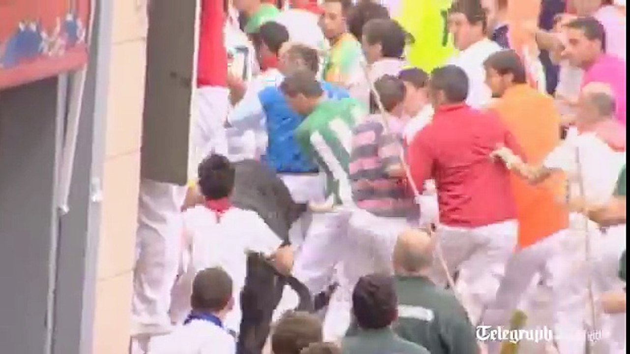 bull fight