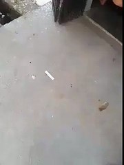 patan ka bacha,,,funny