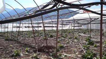 Hortum, Seraları Yıktı