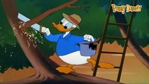 Cartoons for Children - Donald Duck and Chip and Dale HD Episodes Cartoons Movie Compilation