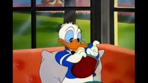 Donald Duck - Donalds Happy Birthday - Cartoons For Children_2