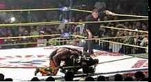 RAW VIDEO TRAGEDY: El Hijo Del Perro Aguayo Dies in the Ring Fight In Mexico - R.I.P March 21,2015