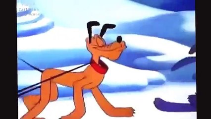 Pluto Walt Disney The Army Mascot Cartoons For Children