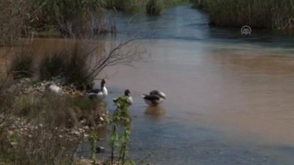Dünya Su Günü'nde Kıyı ve Plaj Temizliği Yaptılar