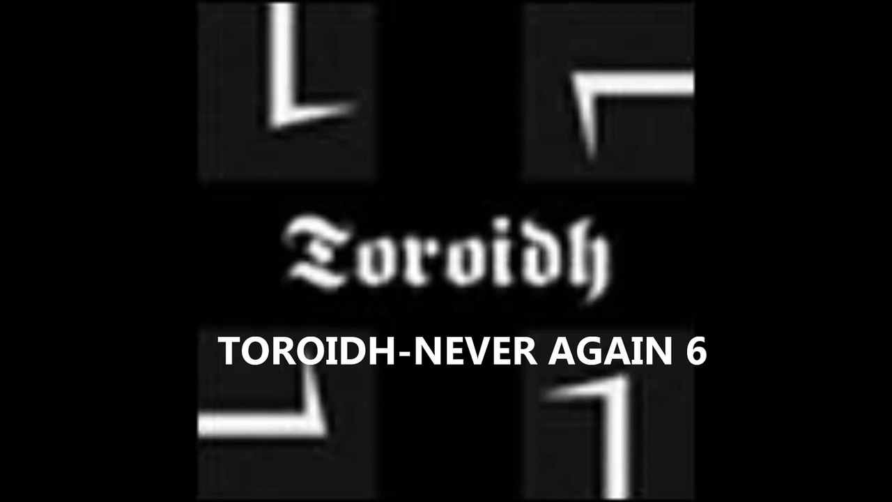 TOROIDH - NEVER AGAIN 6