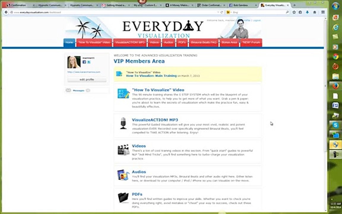 Best Guided Visualization - Everyday Visualization System